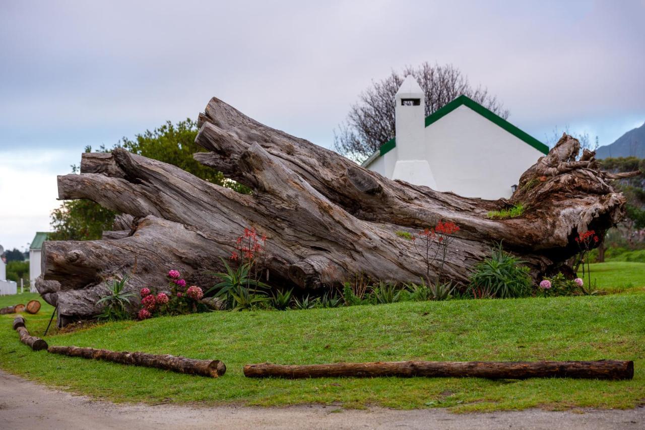 Honeyrock Cottages Kleinmond Exteriör bild